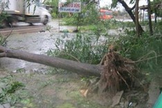 Wutip ravages central provinces