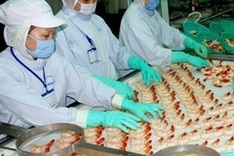 Exporters reject US anti-subsidy duties on shrimp