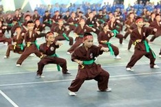 Martial arts fest kicks off in Hanoi