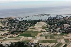 Night market to open in Lý Sơn Island