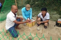 Chàm Island saves threatened turtle