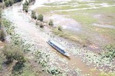 Delta targets wetlands preservation