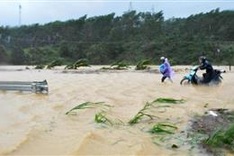 2018 to witness 13 typhoons and depressions