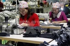 VCCI: Local companies must improve decision making