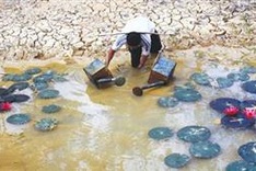 Delta faces major water crisis