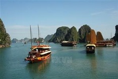 Ha Long, Cat Ba cooperate to improve environment