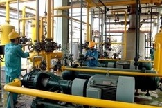 Vietnam industrial growth slows to just 4.8 percent