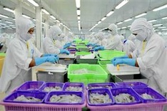 Marine protection for sustainable seafood development