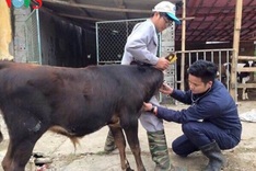 Young teacher creates employment opportunities for students