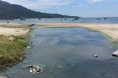 Two projects found discharging waste water into Đà Nẵng beaches