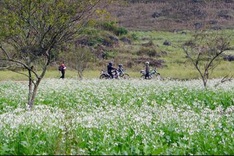 Peaceful Moc Chau before the spring
