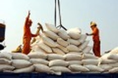 Vietnam to keep trade gap below 20%