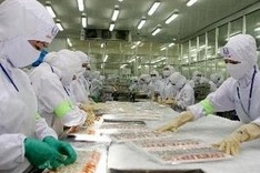 Agro-forestry, fishery exports hit $8.6 billion