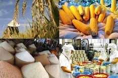Middle East targeted for agro-exports