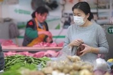 Localities urged to prepare against bird flu