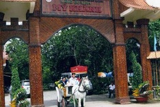 Poor infrastructure discourages Can Tho tourism development