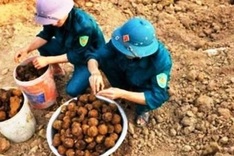 38 cluster bombs found in Quảng Binh