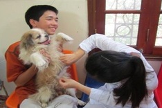 Young people set up dog and cat rescue team in Hanoi