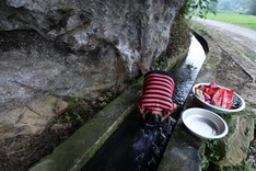 Use of poor-quality water rampant in Vietnam’s mountainous areas