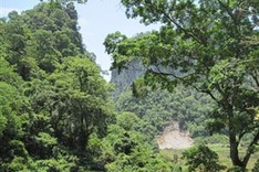 New project aims to improve environmental management