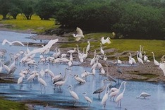 Photos featuring Vietnam’s heritage to be exhibited nationwide