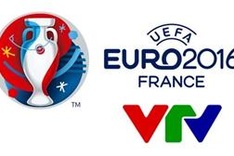 VTV to air all football matches at EURO 2016
