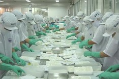 Danang attracts US$152 million in FDI