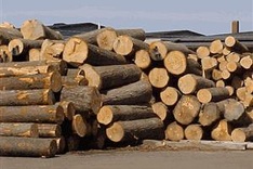 Legal procurement a concern of wood processing industry