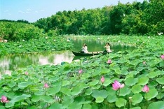 Dong Thap appeals to tourists with environmentally-friendly tourism