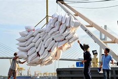 Rice exports hit nearly US$1 billion in four months