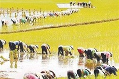 Patriotism campaign inspires many