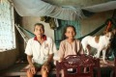 Tet not a joy for all