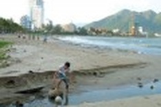 Nha Trang Bay threatened by ecological imbalance