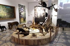 Museum of Nature and Culture opens in Nghe An