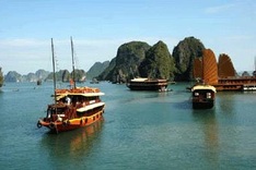 Travel undeterred by higher services prices