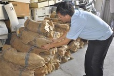 Haiphong police seize two tonnes of illegal ivory