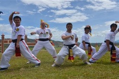 Martial arts festival slated for Binh Dinh