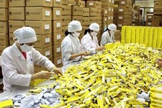 SMEs to face regional competition