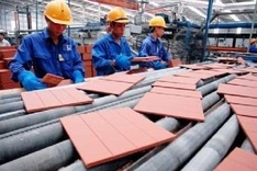 Southeast Asian firms see profit in Vietnamese companies