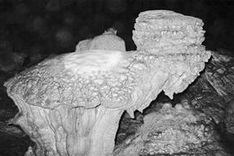 Exploring the nooks and crannies of Cao Bang's ethereal ‘Bat Cave'