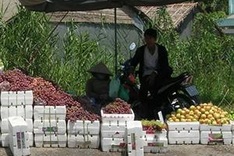 Imported fruit under strict examination
