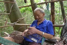 Elderly man in An Giang watches world from nine-storey bamboo house