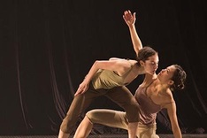 International dance festival winds down in HCM City