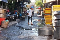 Temporary fish market pollutes Mekong Delta region