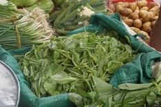 Official emphasises necessity for vegetables labels in Vietnam