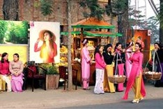 Artistic Street debuts in Da Lat flower land