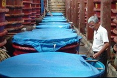 Phu Quoc fish sauce wins Vietnam's first origin recognition from EU