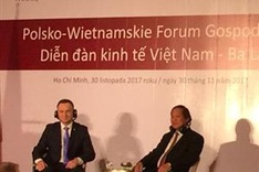 Vietnam-Poland forum pushes up investment links