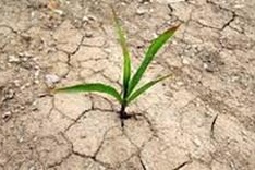 Regional connectivity in response to climate change