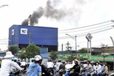 Eco experts back ‘green economy'